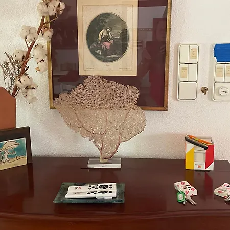 Casa Con Alma